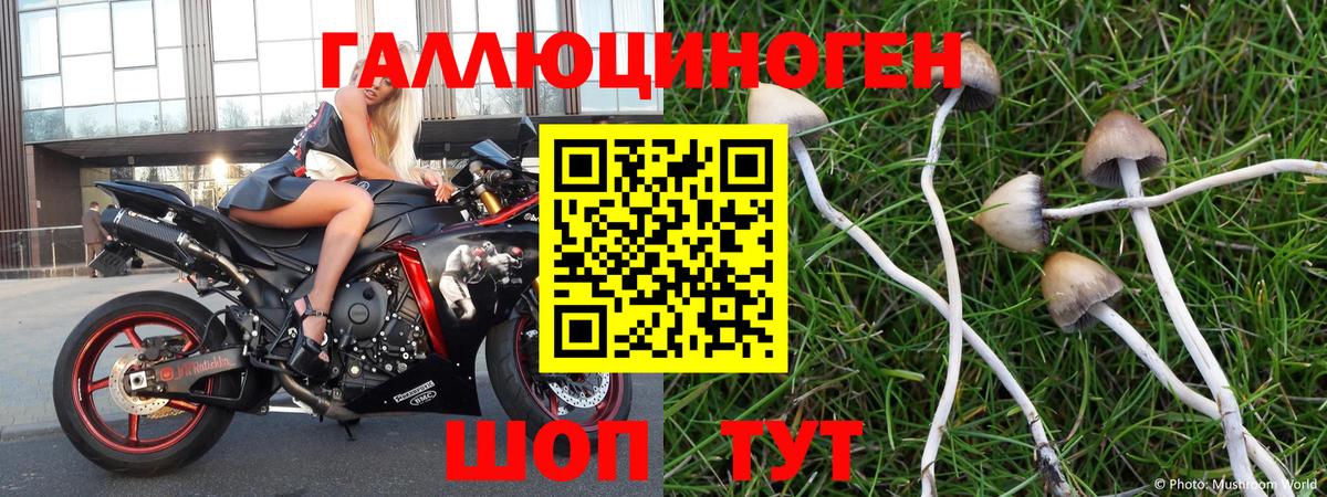 Псилоцибиновые грибы Magic Shrooms  Галлюциногенные грибы ЛСД  Вход с VPN  Нижний Новгород 