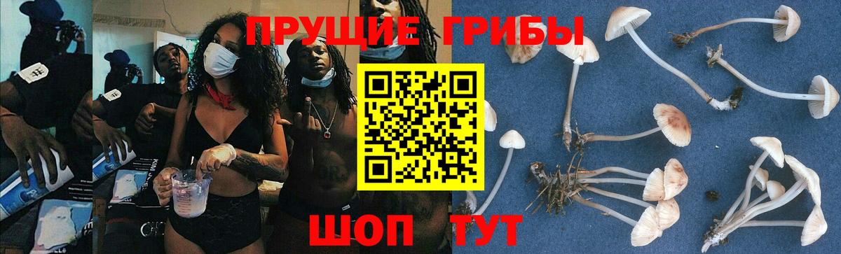 Псилоцибиновые грибы ЛСД Нижний Новгород